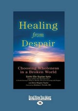 Healing from Despair - Abraham J. Twerski; Elie Kaplan Spitz; Erica Shapiro Taylor - 9781459680753