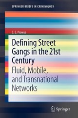 Defining Street Gangs in the 21st Century -  - 9781461443063