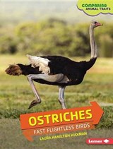 Ostriches - WAXMAN,  Laura Hamilton - 9781467795098