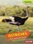 Ostriches, WAXMAN,  Laura Hamilton - Gebonden - 9781467795098