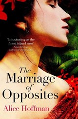 The Marriage of Opposites - Alice Hoffman - 9781471156205
