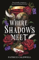Where Shadows Meet - Patrice Caldwell - 9781471411861