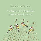 A Charm of Goldfinches and Other Collective Nouns - Matt Sewell - 9781473529847