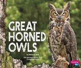 Great Horned Owls - HILL,  Melissa - 9781474704946