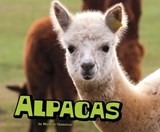 Alpacas - Michelle M. Hasselius - 9781474722407