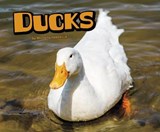 Ducks - Michelle M. Hasselius - 9781474722421