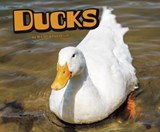 Ducks - HASSELIUS,  Michelle - 9781474722667