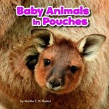 Baby Animals in Pouches - RUSTAD,  Martha E. H. - 9781474733335