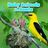 Baby Animals in Nests - RUSTAD,  Martha E. H. - 9781474733366
