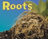 Roots - BODACH,  Vijaya Khisty - 9781474735568