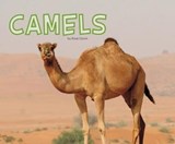 Camels - Rose Davin - 9781474736626