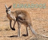 Kangaroos - DAVIN,  Rose - 9781474736664