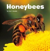 Honeybees - Lisa J. Amstutz - 9781474742542