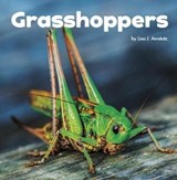 Grasshoppers - Lisa J. Amstutz - 9781474747776