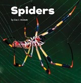 Spiders - AMSTUTZ,  Lisa J. - 9781474747837