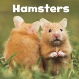 Hamsters - Lisa J. Amstutz - 9781474757133