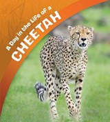 A Day in the Life of a Cheetah - AMSTUTZ,  Lisa J. - 9781474764971