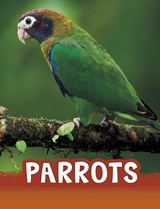 Parrots - Mari Schuh - 9781474796217