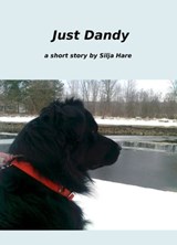 Just Dandy - Silja Hare - 9781476129662