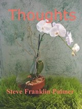 Thoughts - Steve Franklin-Palmer - 9781476386027