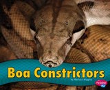 Boa Constrictors -  - 9781476520674