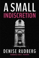 A Small Indiscretion - Denise Rudberg - 9781477817698