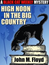 High Noon in the Big Country - John M. Floyd - 9781479467327