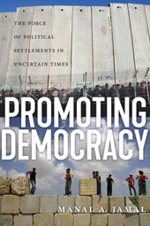 Promoting Democracy