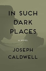 In Such Dark Places - Joseph Caldwell - 9781480444010