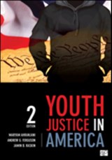 Youth Justice in America - Maryam Ahranjani ; Andrew G. Ferguson ; Jamin B. Raskin - 9781483319162
