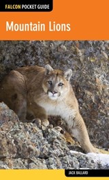 Mountain Lions - Jack Ballard - 9781493012558