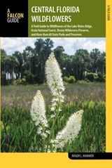 Central Florida Wildflowers - Roger L. Hammer - 9781493022168
