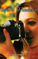 The Spirit Window - Joyce Sweeney - 9781504004237