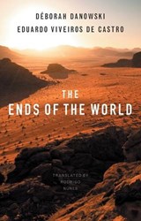 The Ends of the World - Deborah Danowski ; Eduardo Viveiros de Castro - 9781509503988