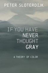 If You Have Never Thought Gray - Peter (Karlsruhe School of Design) Sloterdijk - 9781509557493