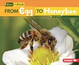 From Egg to Honeybee - Lisa Owings - 9781512409086