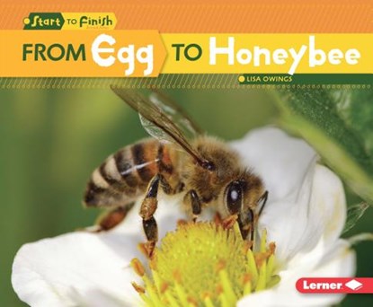 From Egg to Honeybee, Lisa Owings - Gebonden - 9781512409086