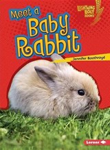 Meet a Baby Rabbit - BOOTHROYD,  Jennifer - 9781512412406