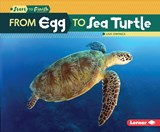 From Egg to Sea Turtle - Lisa Owings - 9781512418279