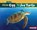 From Egg to Sea Turtle, Lisa Owings - Gebonden - 9781512418279