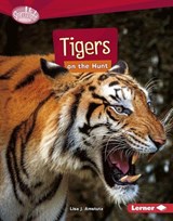 Tigers on the Hunt - AMSTUTZ,  Lisa J. - 9781512434002