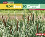 From Seed to Cattail - OWINGS,  Lisa - 9781512434439