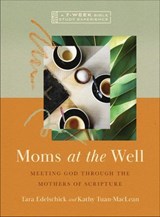 Moms at the Well - Tara Edelschick ; Kathy Tuan-MacLean - 9781514006795