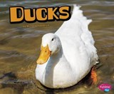 Ducks - HASSELIUS,  Michelle - 9781515709268
