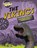 The Vikings, SPILSBURY,  Louise - Gebonden - 9781515725527