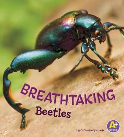 Breathtaking Beetles, IPCIZADE,  Catherine - Gebonden - 9781515744979