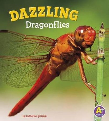 Dazzling Dragonflies, IPCIZADE,  Catherine - Gebonden - 9781515744986