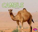 Camels - DAVIN,  Rose - 9781515746003