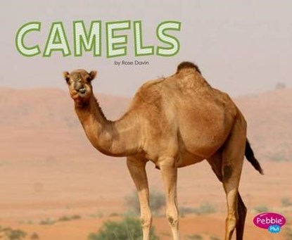 Camels, DAVIN,  Rose - Gebonden - 9781515746003
