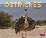 Ostriches -  - 9781515746034